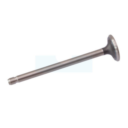Soupape d'échappement pour moteur Briggs & Stratton (691796)