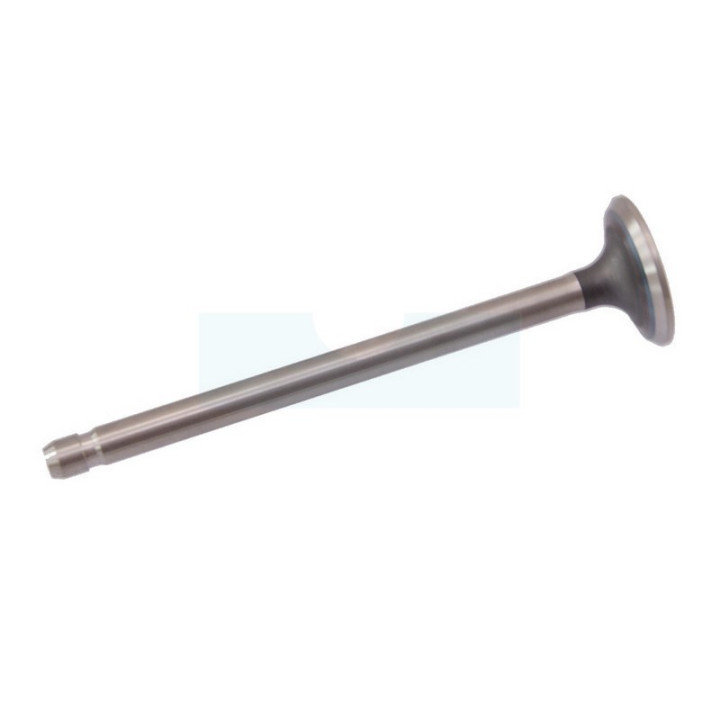 Soupape d'échappement pour moteur Briggs & Stratton (691796)