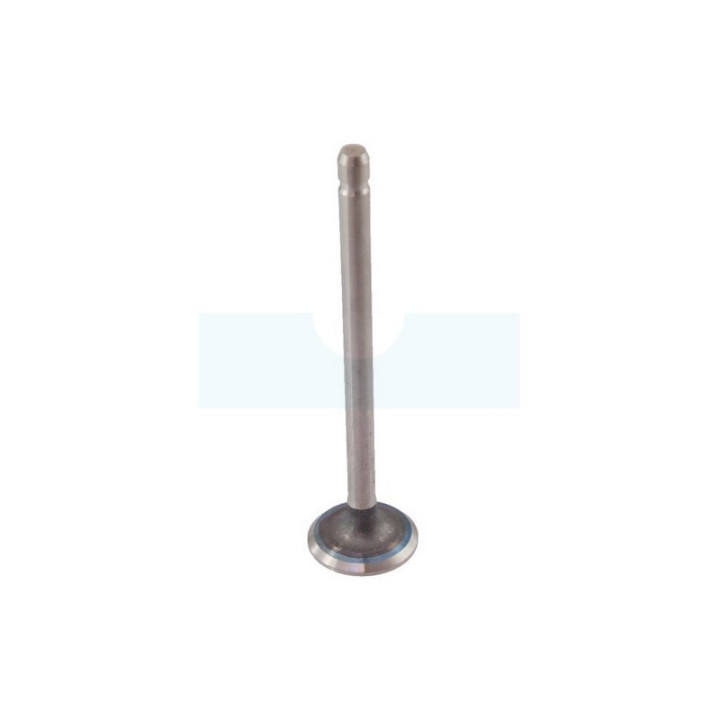 Soupape d'échappement pour moteur Briggs & Stratton (691796)