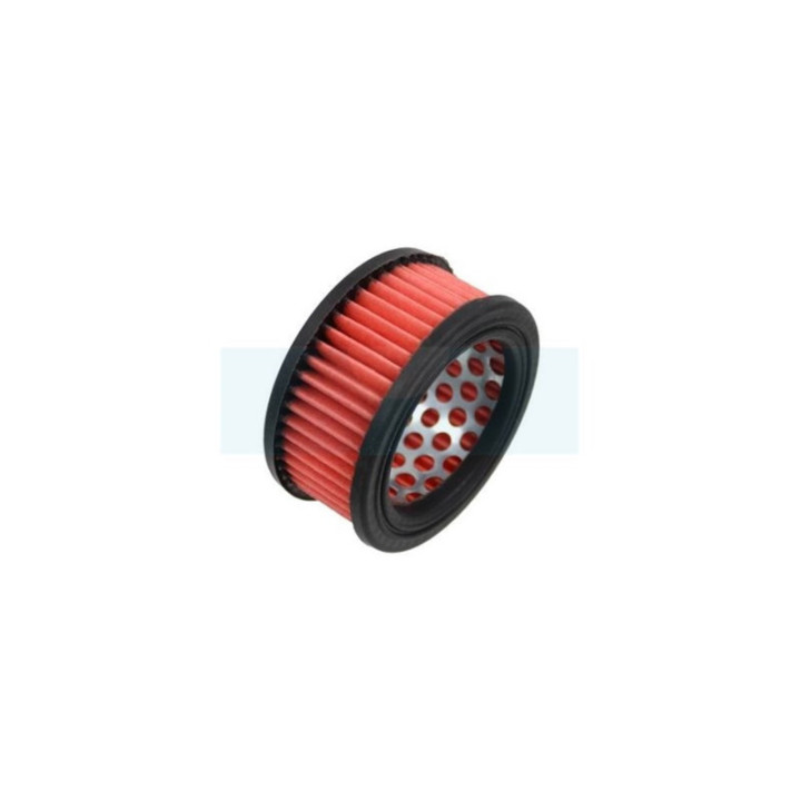 Filtre à air pour tronçonneuse Echo (13030039730)