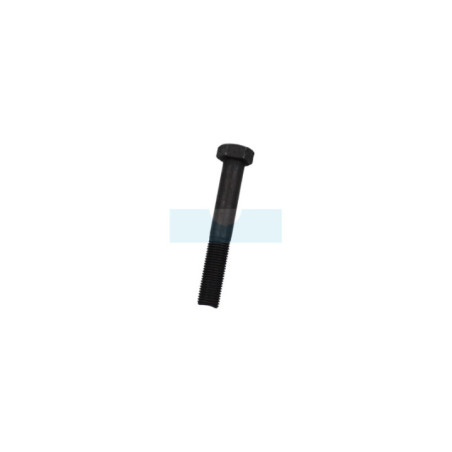 Vis de lame pour tondeuse Castelgarden / GGP (112736850/0)