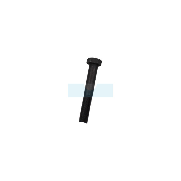 Vis de lame pour tondeuse Castelgarden / GGP (112736850/0)