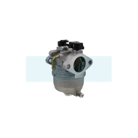 Carburateur pour moteur Kawasaki (150032618)