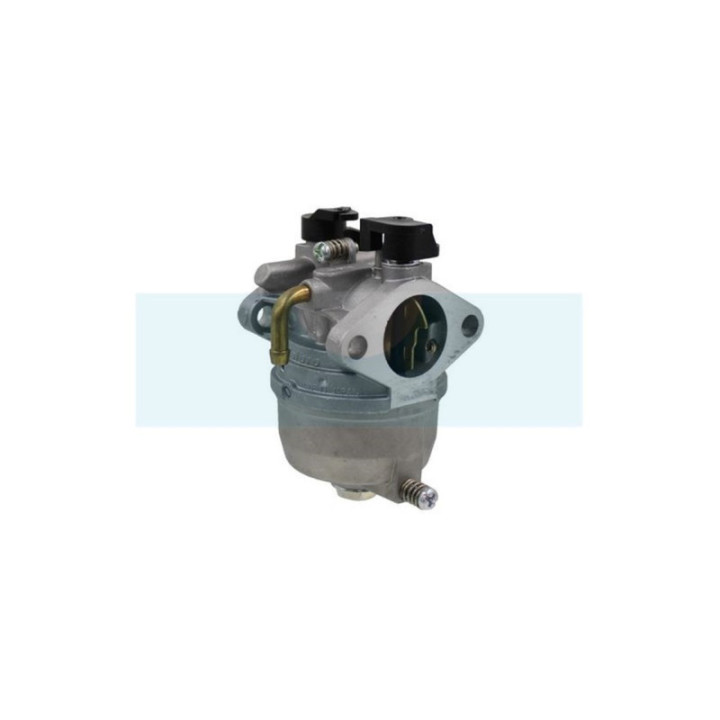 Carburateur pour moteur Kawasaki (150032618)