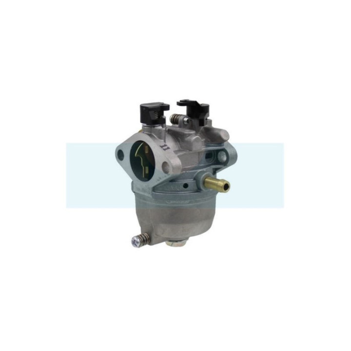Carburateur pour moteur Kawasaki (150032618)