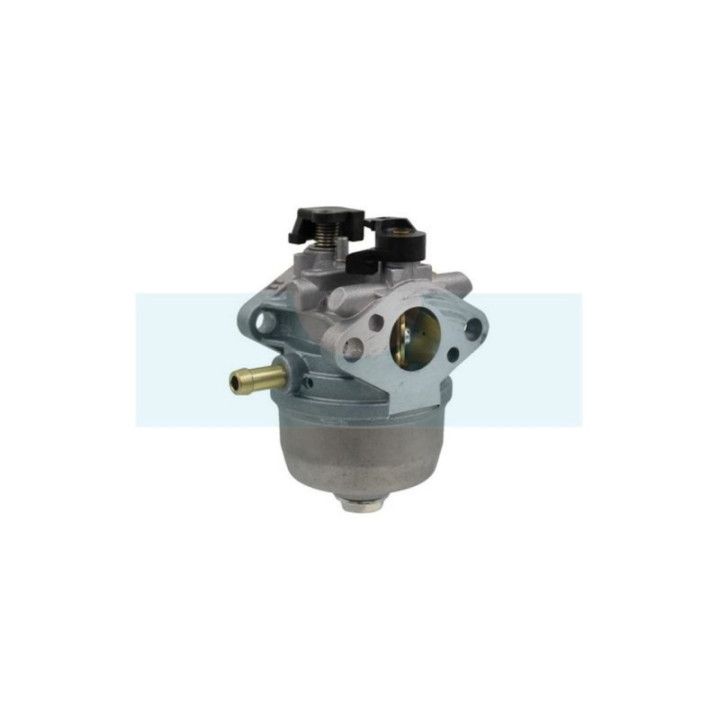 Carburateur pour moteur Kawasaki (150032618)