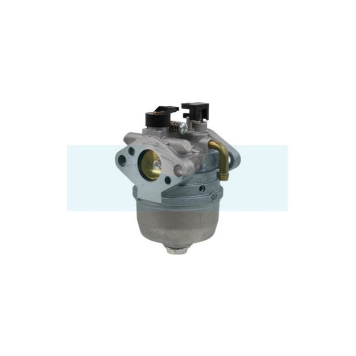 Carburateur pour moteur Kawasaki (150032618)