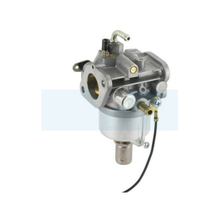 Carburateur pour moteur Kawasaki (150037051)