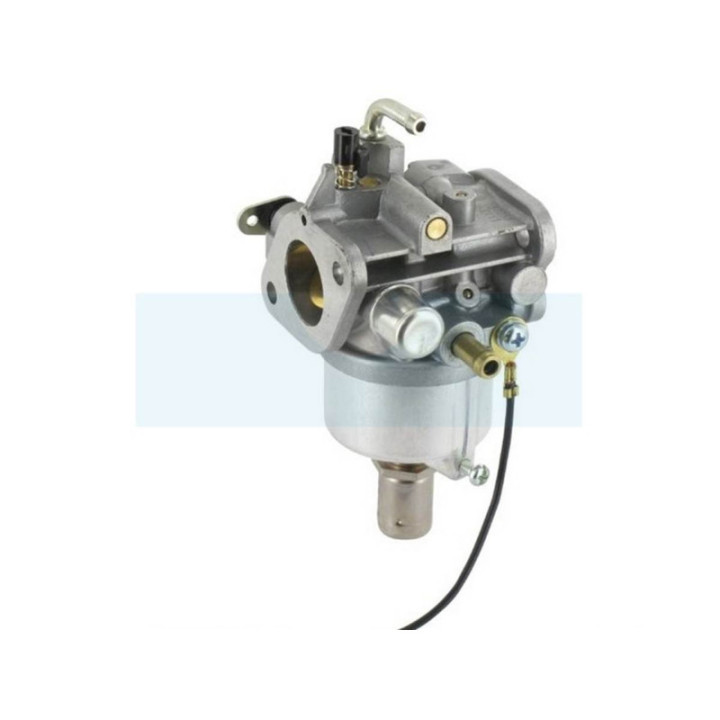 Carburateur pour moteur Kawasaki (150037051)