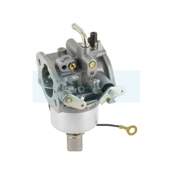 Carburateur pour moteur Kawasaki (150037051)