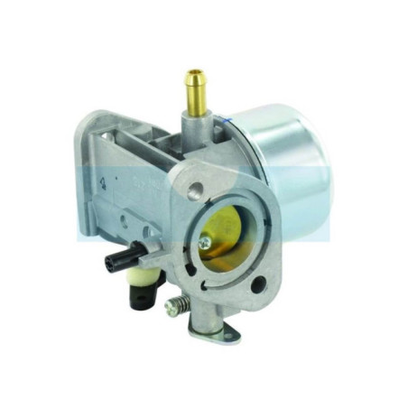Carburateur pour moteur Kawasaki (150037061)