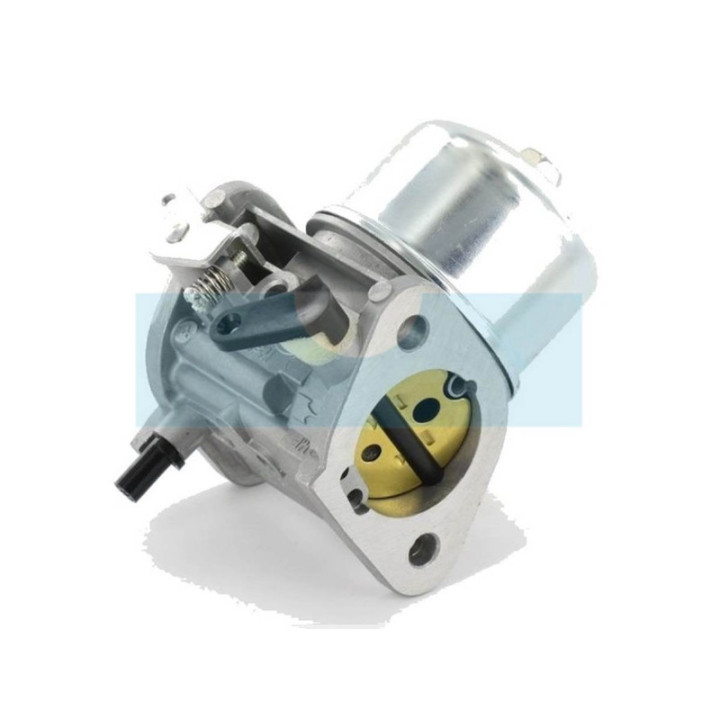 Carburateur pour moteur Kawasaki (150037061)