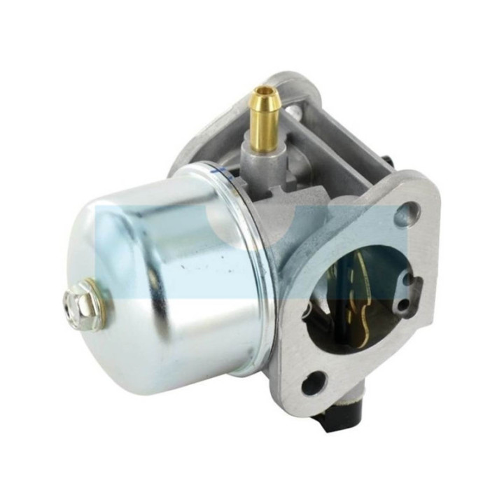 Carburateur pour moteur Kawasaki (150037061)