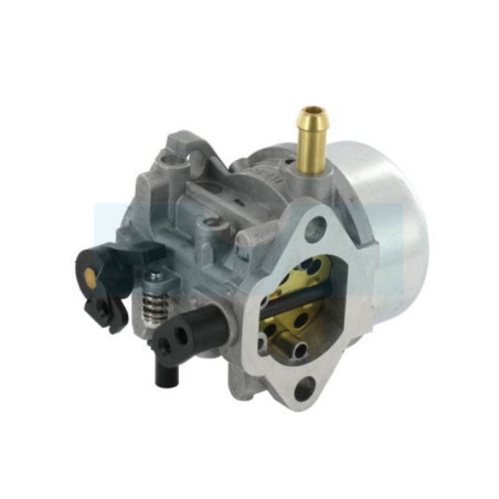 Carburateur pour moteur Kawasaki (150037132)