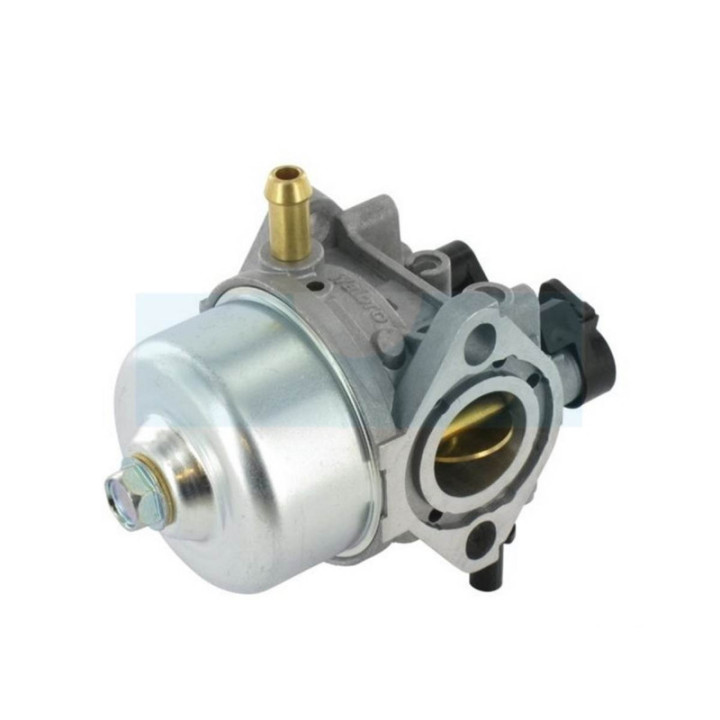 Carburateur pour moteur Kawasaki (150037132)