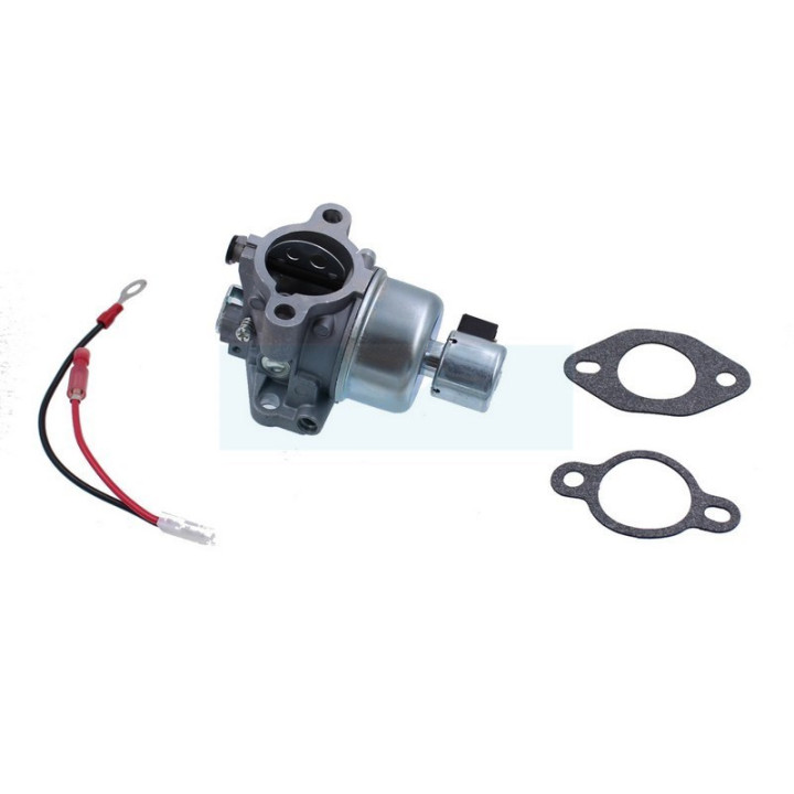 Carburateur pour moteur Kohler (2085333)