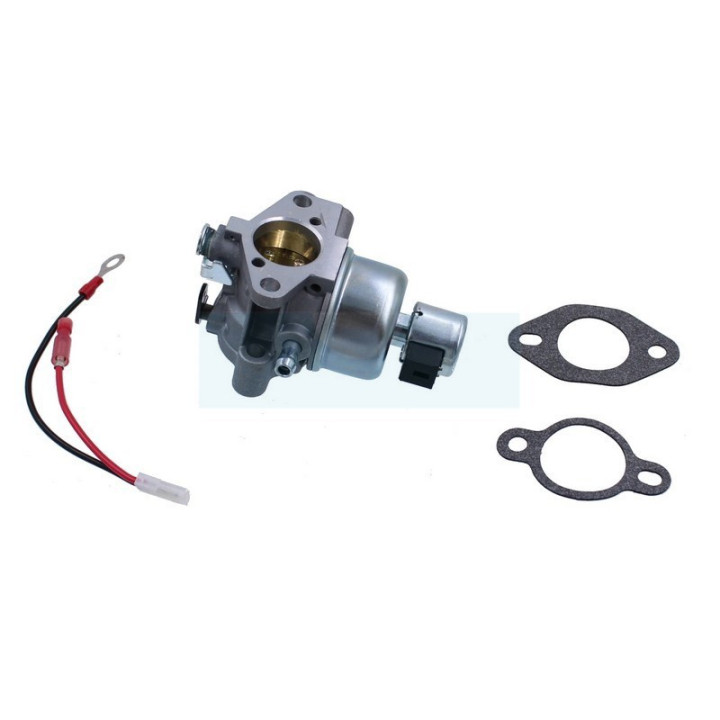 Carburateur pour moteur Kohler (2085333)