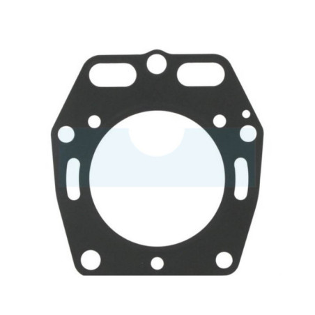 Joint de culasse pour moteur Kawasaki (110022104)