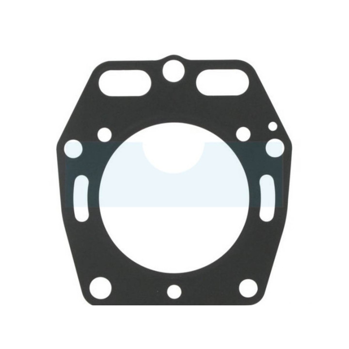 Joint de culasse pour moteur Kawasaki (110022104)
