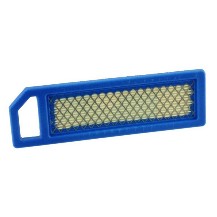 Filtre à air pour moteur Kawasaki (110137010)