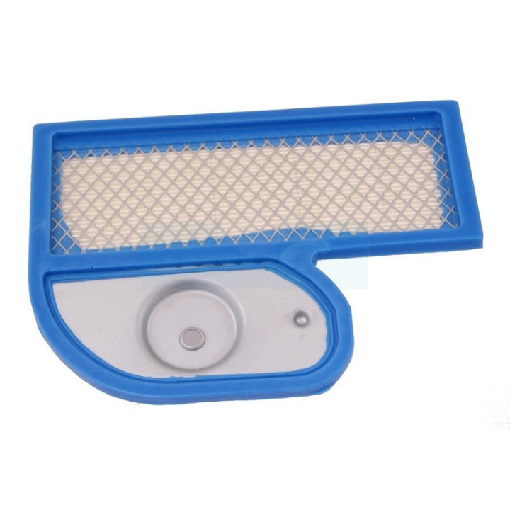 Filtre à air pour moteur Kawasaki (110137002)