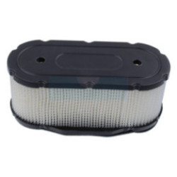 Filtre à air pour moteur Kawasaki (110297015)
