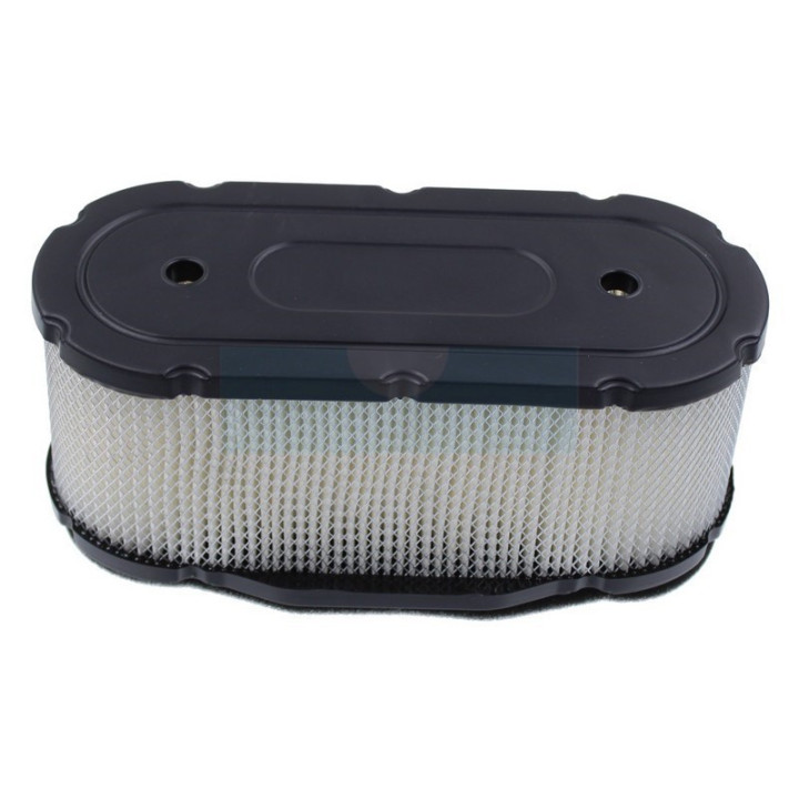 Filtre à air pour moteur Kawasaki (110297015)