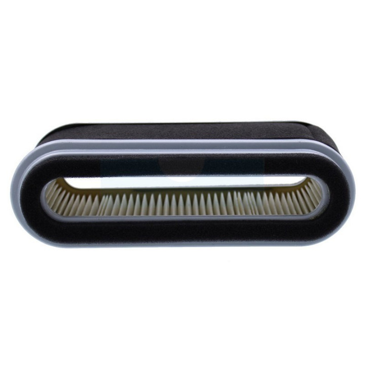 Filtre à air pour moteur Kawasaki (110132021)