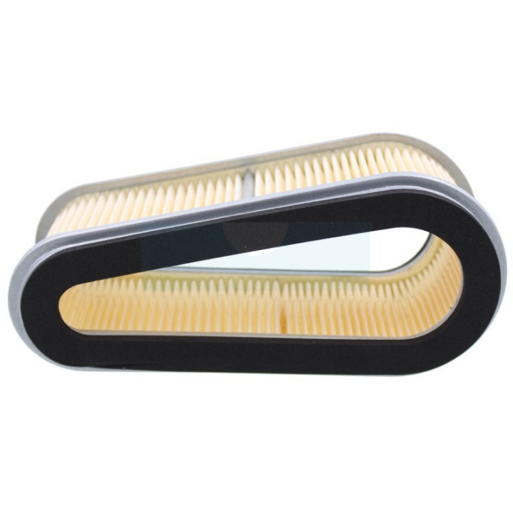 Filtre à air pour moteur Kawasaki (110131214)