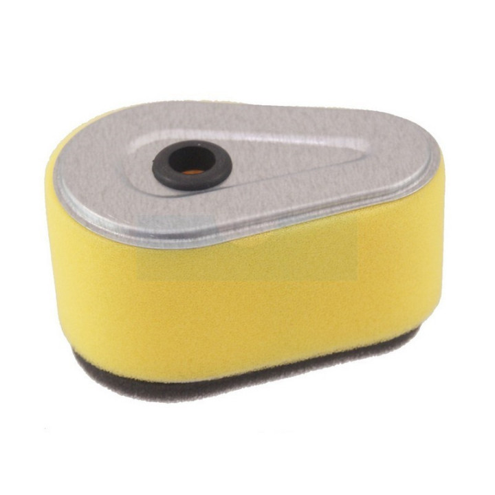 Filtre à air pour moteur Kawasaki (110132120)