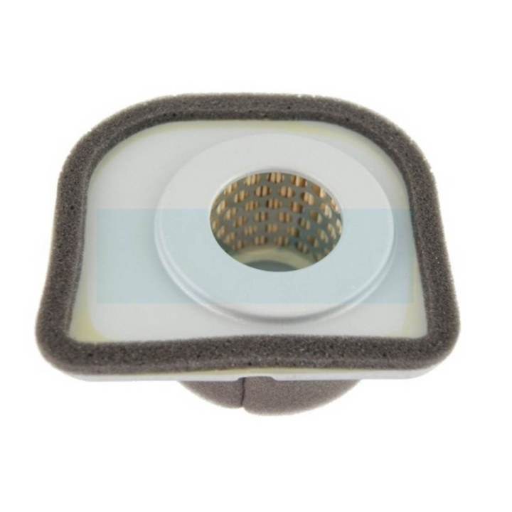 Filtre à air pour moteur Kawasaki (3144AA1312A)