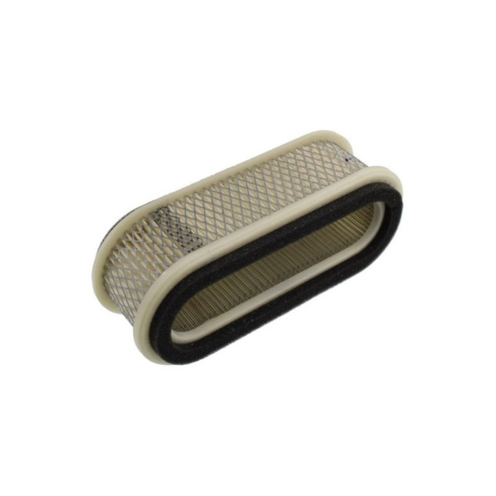 Filtre à air pour moteur Kawasaki (110132115)