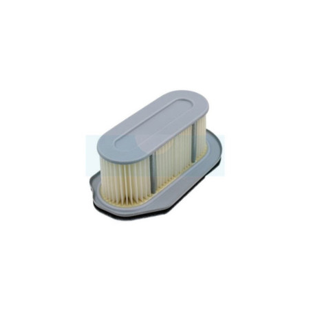 Filtre à air pour moteur Kawasaki (110132132)