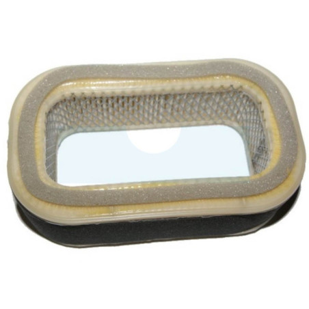 Filtre à air pour moteur Kawasaki (110132005)