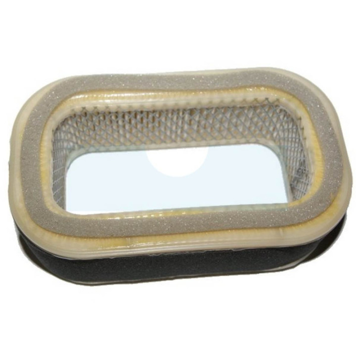 Filtre à air pour moteur Kawasaki (110132005)