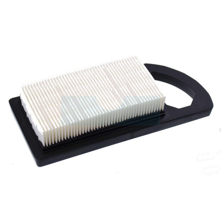 Filtre à air pour moteur Briggs & Stratton (613022)
