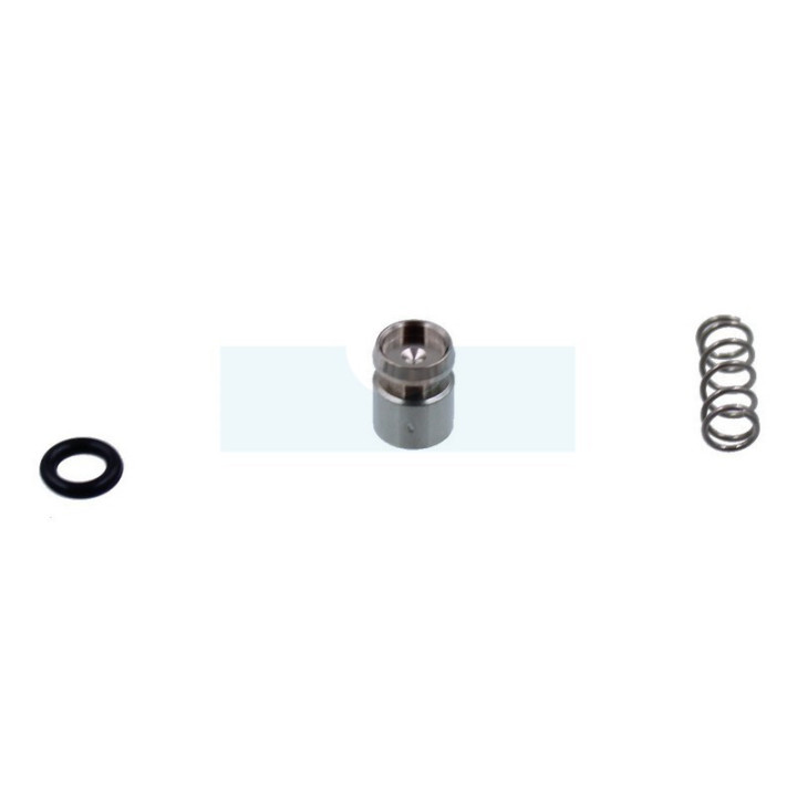 Jeu de piston de pompe pour combi-système / tronçonneuse / taille-haie / débroussailleuse Stihl (11231209700)