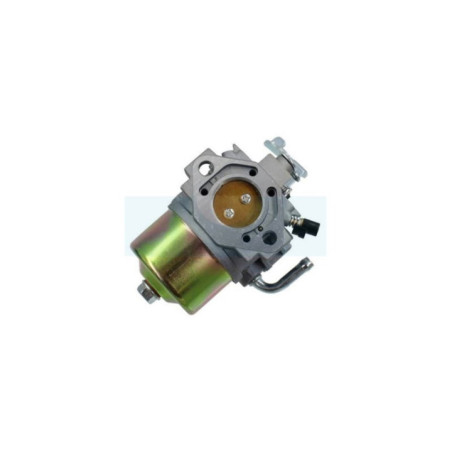 Carburateur pour moteur Robin