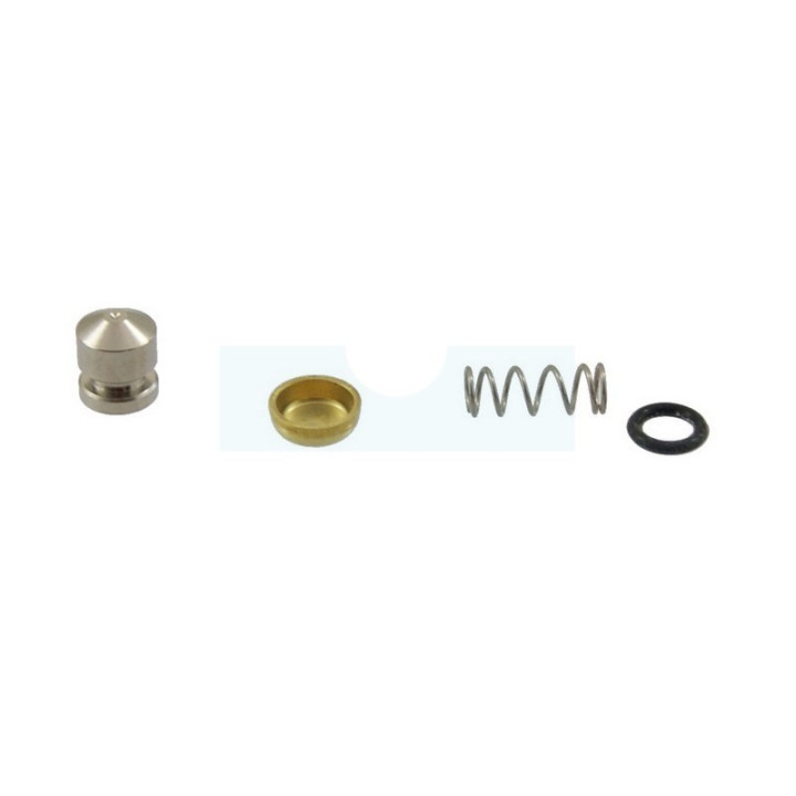 Jeu de piston pompe pour combi-système / perche élagueuse / tarière / taille-haie / débroussailleuse Stihl (41801209704)