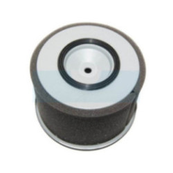 Filtre à air pour moteur Kubota (1389211080)