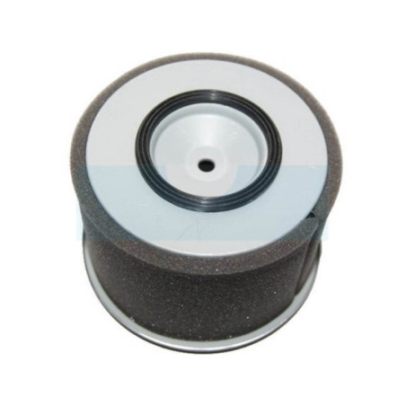 Filtre à air pour moteur Kubota (1389211080)