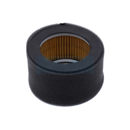 Filtre à air pour moteur Kubota (1390711210)