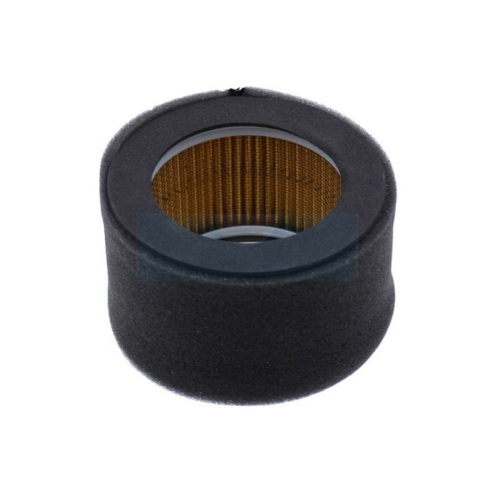 Filtre à air pour moteur Kubota (1390711210)
