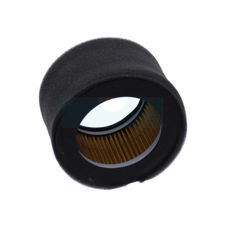 Filtre à air pour moteur Kubota (1390711210)