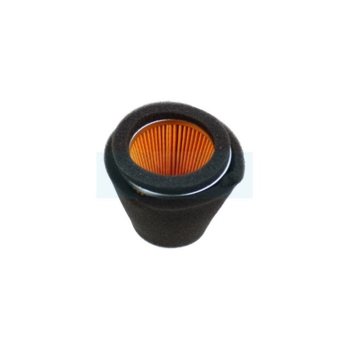 Filtre à air pour moteur Kubota (1313411180)