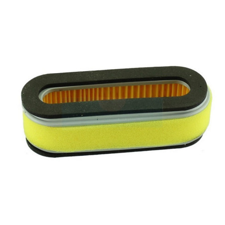 Filtre à air pour moteur Kubota (1210111210)