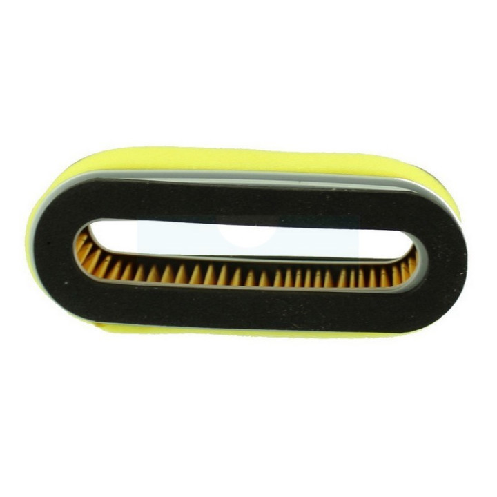 Filtre à air pour moteur Honda (17210896505)
