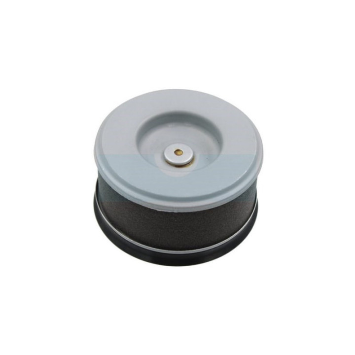 Filtre à air pour moteur Kubota (1218211080)