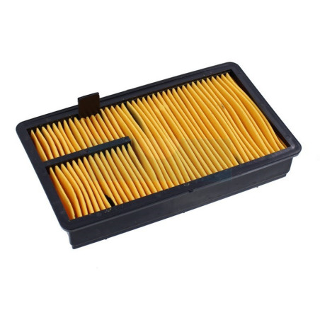 Filtre à air pour moteur Kubota (1286711080)
