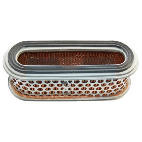 Filtre à air pour moteur Kubota (1231411200)